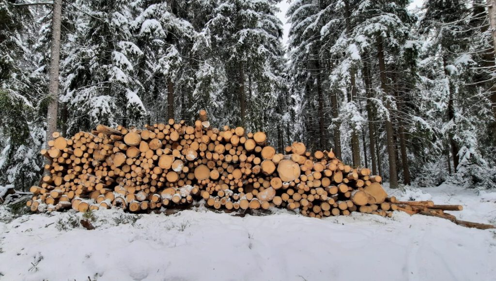 Holzpolter